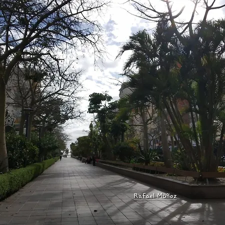 Apartamento En Paseo Larios De *