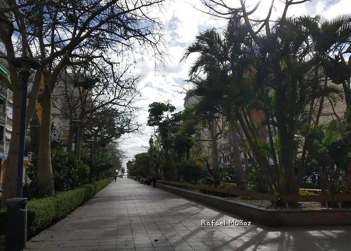 Apartamento En Paseo Larios De *